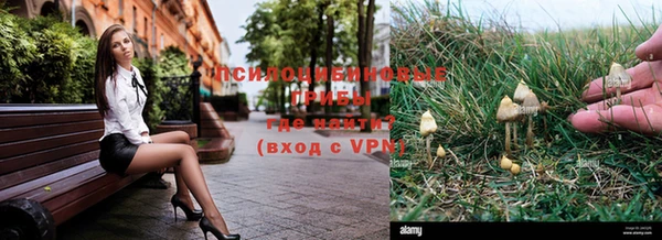 гашиш Белокуриха